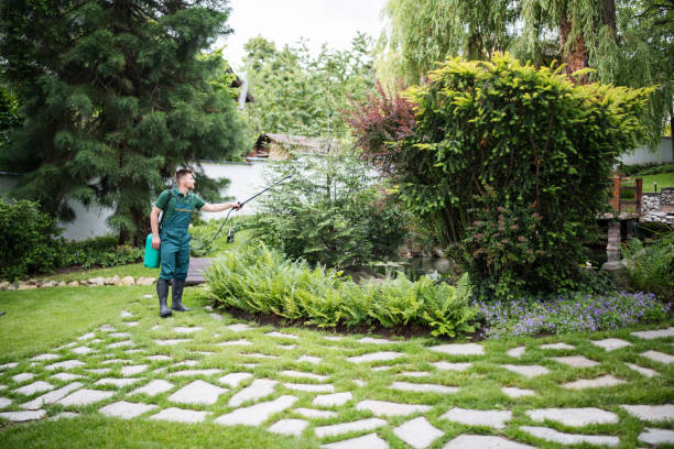 Best Best Pest Control Companies  in Indian Wells, CA