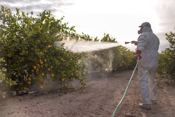 Best Exterminator Services  in Indian Wells, CA