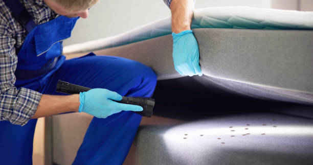 Best Cockroach Control Services  in Indian Wells, CA