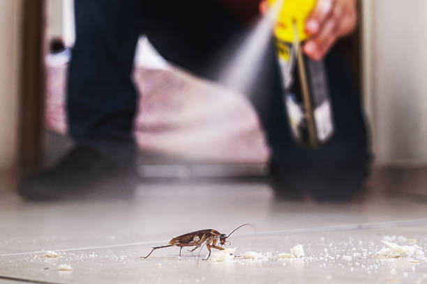 Best Pest Removal Services  in Indian Wells, CA