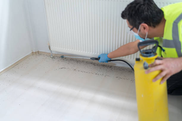 Best Flea Control Services  in Indian Wells, CA