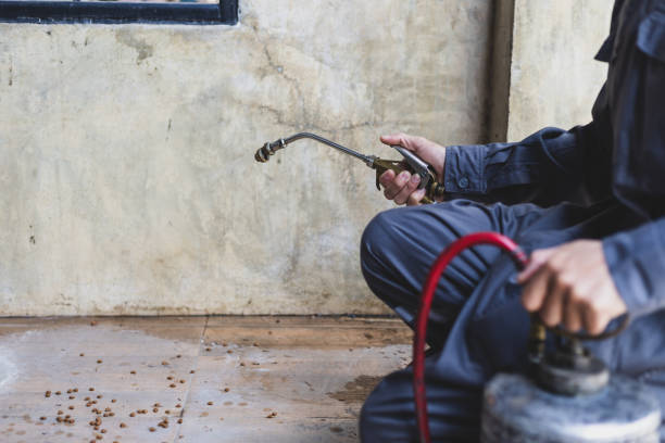 Best Best Pest Control Companies  in Indian Wells, CA